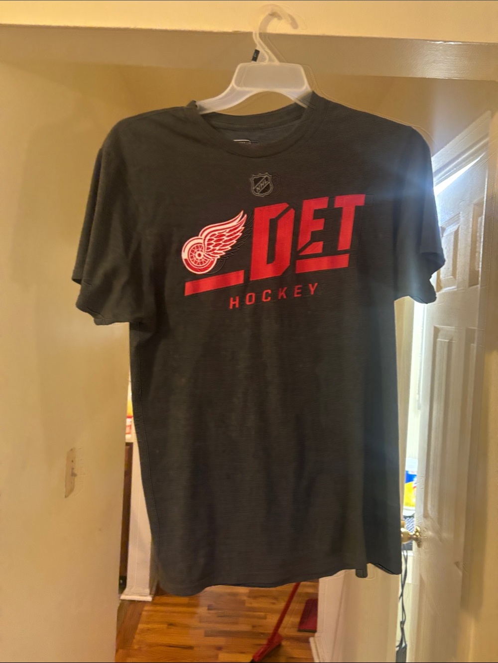 Daily Sports Gray T-Shirt with Red DET Hockey Graphic